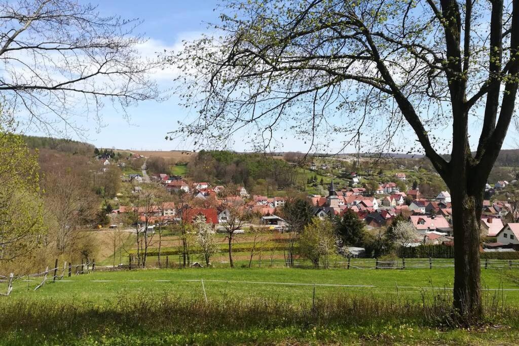 Ferienhaus Zum Kuckuck, Wng 2, Urlaub Im Eichsfeld Kallmerode Luaran gambar